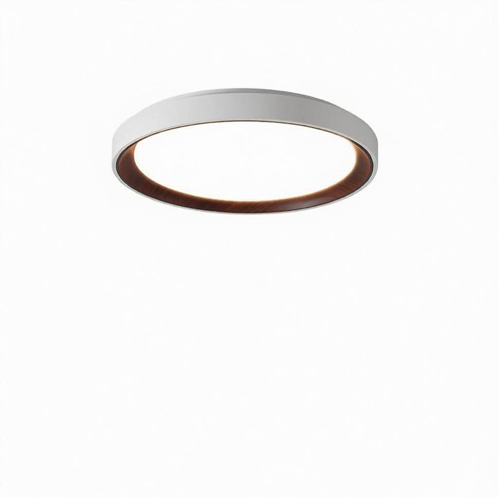Blunden | Ceiling Mounted Light