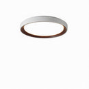 Blunden | Ceiling Mounted Light