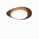 Trelisun | Ceiling Mounted Light