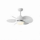 Korrin | Outdoor Lighted Ceiling Fan