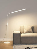 Avalynne A | Floor Lamp