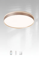 Paretti A | Ceiling Mounted Light