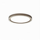 Nahrwold | Ceiling Mounted Light