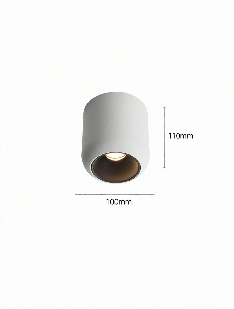 Lyrellanora | Surface Mounted Light