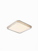 Orlunni Deux | Ceiling Mounted Light