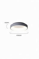 Progar 1 | Ceiling Mounted Light