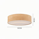 Veylissra | Ceiling Mounted Light
