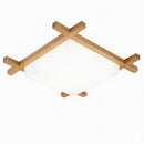 Malorien A | Ceiling Mounted Light