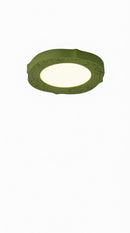 Gangler | Ceiling Mounted Light