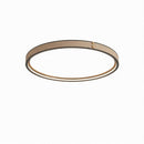 Minerich | Ceiling Mounted Light