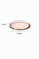 Chavez | Ceiling Mounted Light
