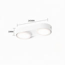 Aelaris | Surface Mounted Light