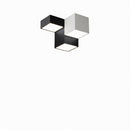 Salvacion | Ceiling Mounted Light