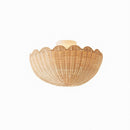 Veylran | Ceiling Mounted Light