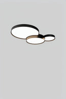 Schaver | Ceiling Mounted Light