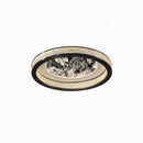 Selvanora Deux | Ceiling Mounted Light