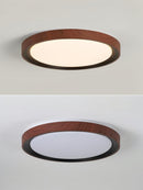 Ireniel | Ceiling Mounted Light