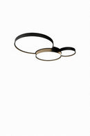 Schaver | Ceiling Mounted Light