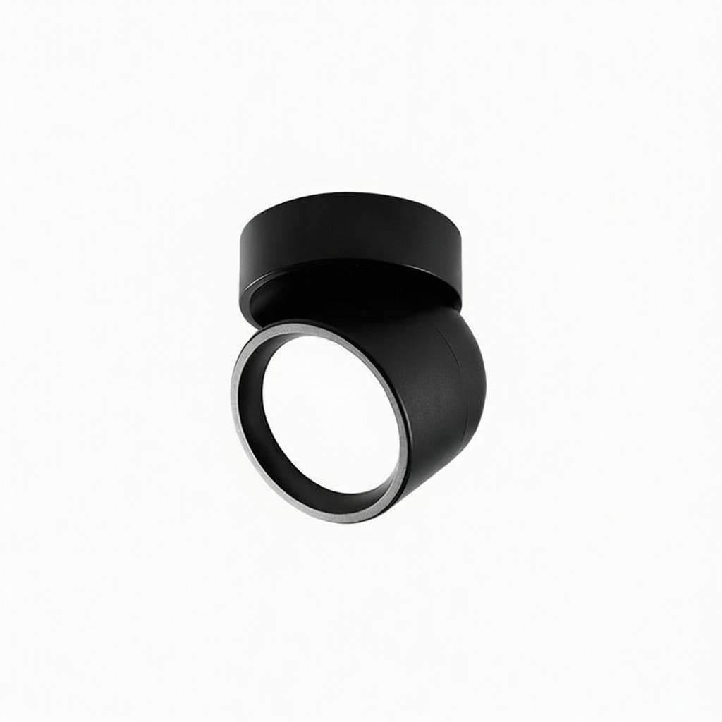 Jorvenithae | Surface Mounted Light