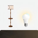 Ralisse | Integrated Shelf Floor Lamp