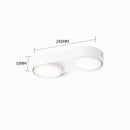 Aelaris | Surface Mounted Light