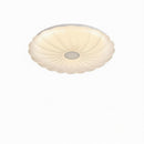 Ryrenthia | Ceiling Mounted Light