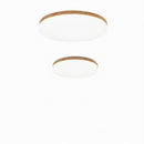 Elenwys I Ceiling Mounted Light