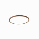 Vaenile | Ceiling Mounted Light