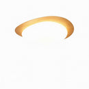 Trelisun | Ceiling Mounted Light