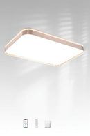Paretti C | Ceiling Mounted Light