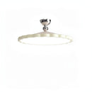 Raldor | Semi Flush Mounted Light