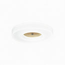 Lirianne | Ceiling Mounted Light