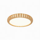 Irelun | Ceiling Mounted Light