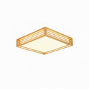 Iselwyn | Ceiling Mounted Light