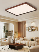 Ireniel | Ceiling Mounted Light