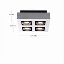 Ralvenith A | Surface Mounted Light
