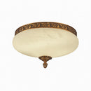 Silvareon | Ceiling Mounted Light