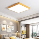 Baron Deux | 2 Color Ceiling Mounted Light