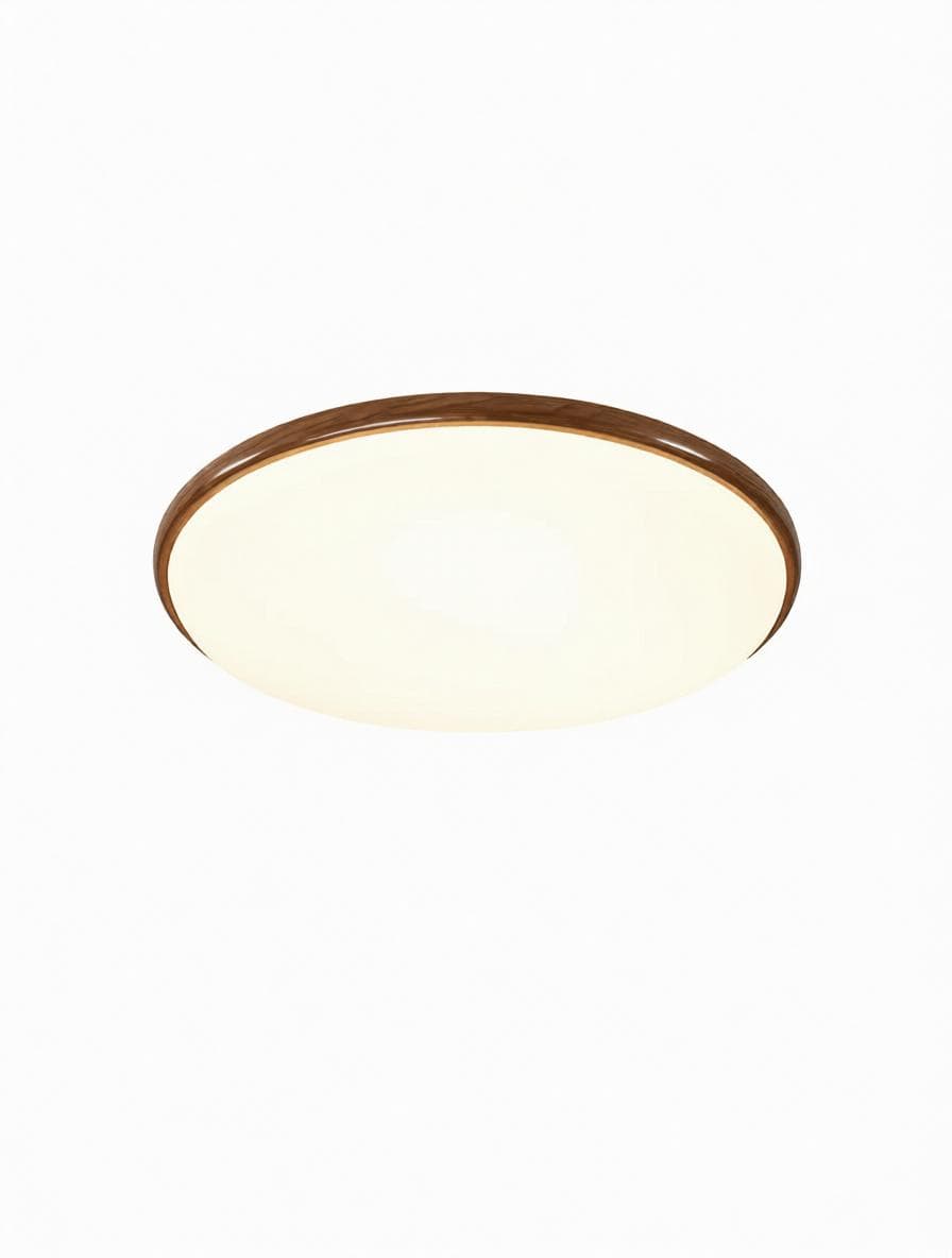 Sirenean C | Ceiling Mounted Light - Modern Lighting Fixture | HomeCartel Philippines