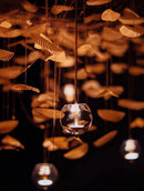 Lynnareth I Cluster Chandelier