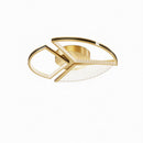 Darnora R | Ceiling Mounted Light