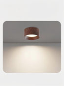 Serindil Une I Ceiling Mounted Light