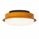 Vinysen Une I Semi Flush Mounted Light