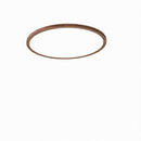 Vaenile | Ceiling Mounted Light