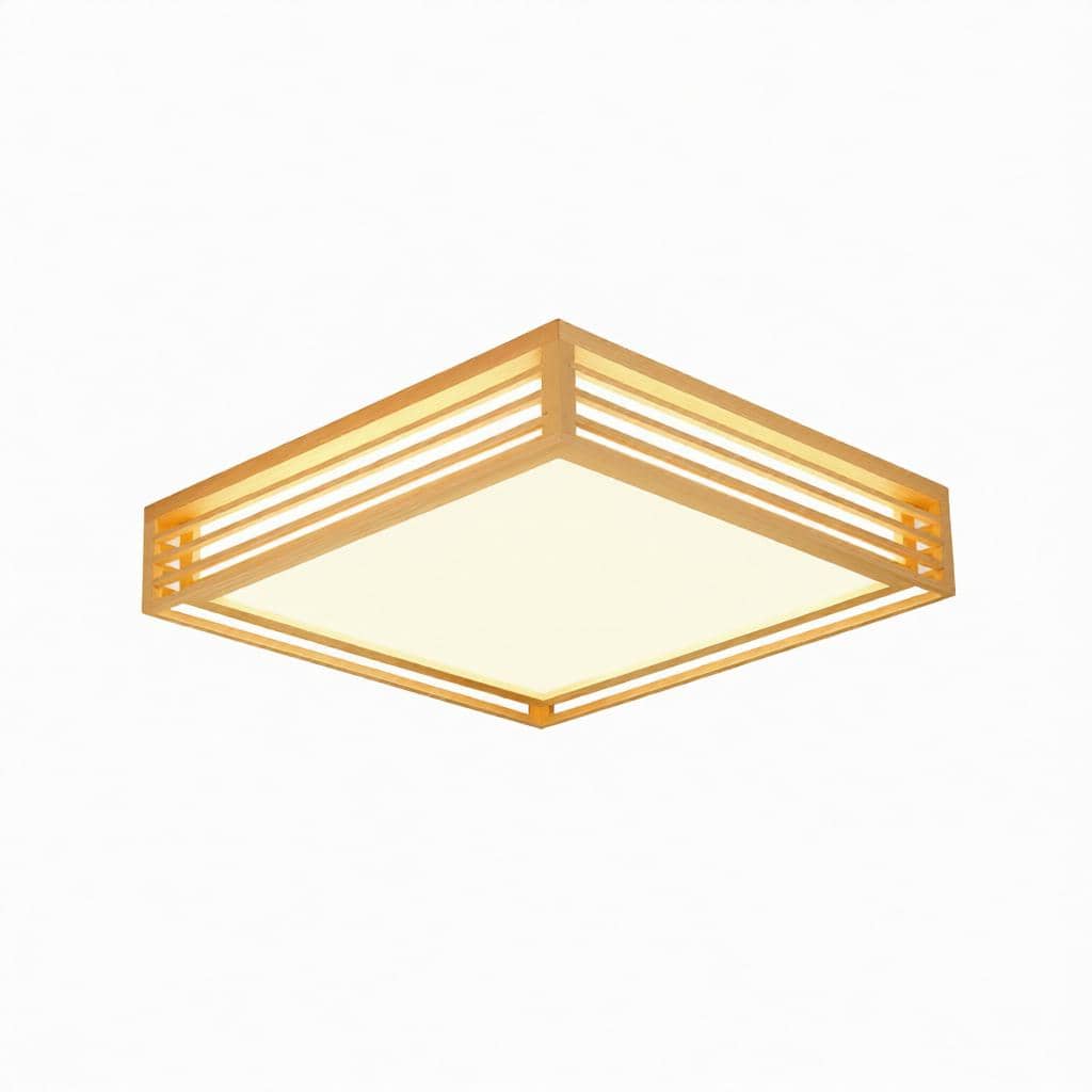Iselwyn | Ceiling Mounted Light