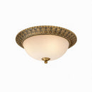 Sioraelor | Ceiling Mounted Light