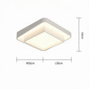 Mirunel Une | Ceiling Mounted Light