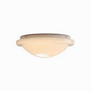 Silvrina I Retro Ceiling Mounted Light