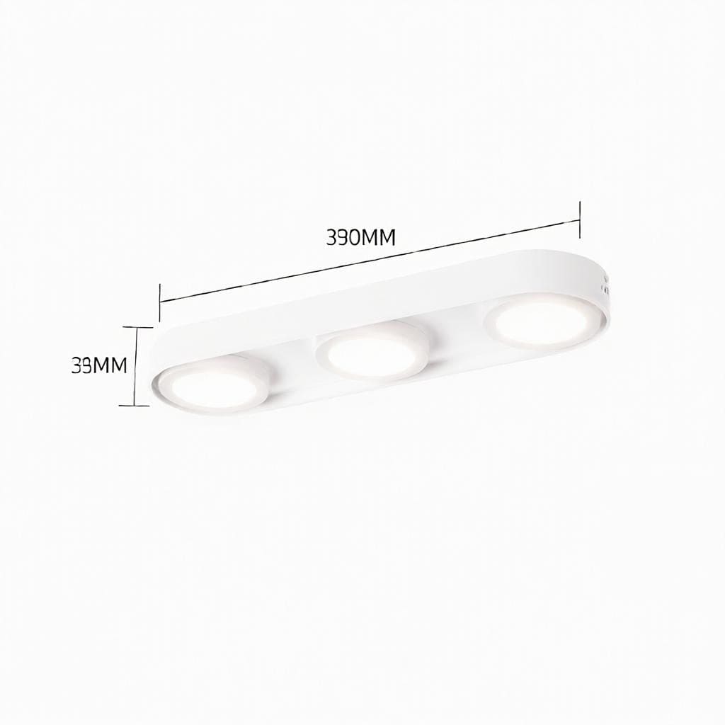 Aelaris | Surface Mounted Light