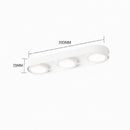 Aelaris | Surface Mounted Light